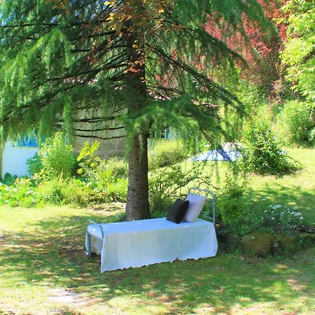 Casa De Pedra, Um Refugio Conhecer O Minho! *