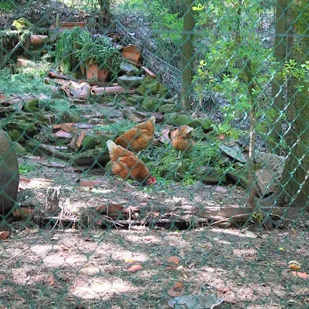 Feriehus Casa De Pedra, Um Refugio Conhecer O Minho! *