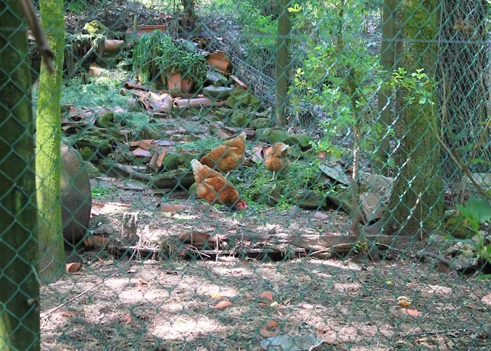 Vakantiehuis Casa De Pedra, Um Refugio Conhecer O Minho! *